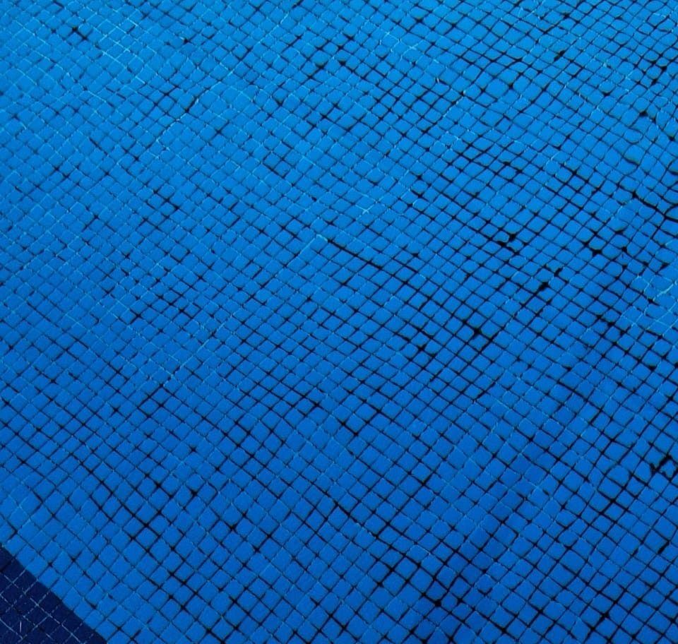 Algas Negras en piscina PoolComet