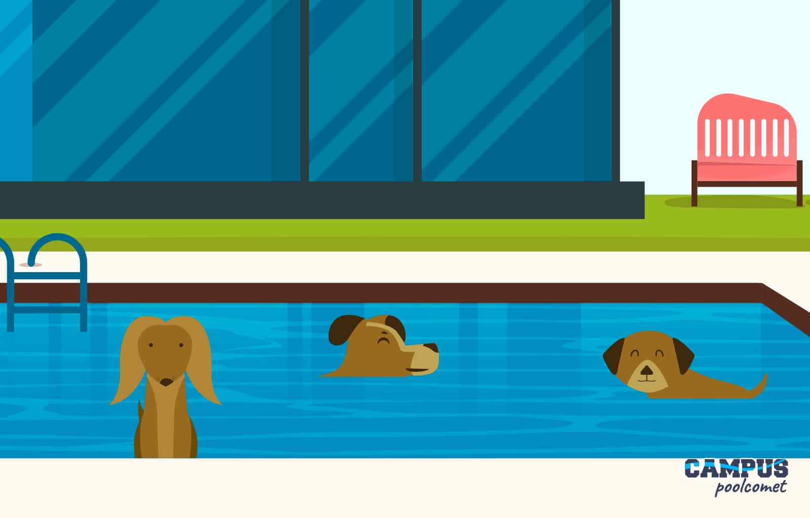Seguridad mascotas en las piscinas