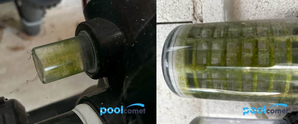 Algas verdes en piscinas con clorador salino